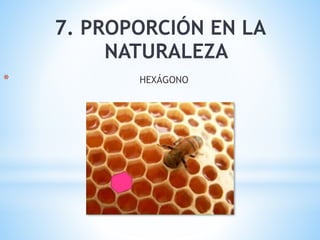 7. PROPORCIÓN EN LA
NATURALEZA
* HEXÁGONO
 