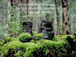 Si te perdiste el amanecer  que hice para ti hoy, no importa.  Te haré otro mañana.   Dios 