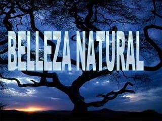 BELLEZA NATURAL 