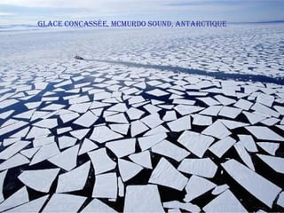 Glace concassée, McMurdo Sound, Antarctique 