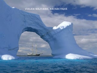 Voilier Solitaire, Antarctique 