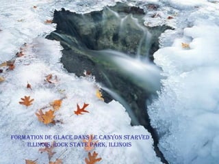Formation de glace dans le Canyon Starved Illinois, Rock State Park, Illinois 