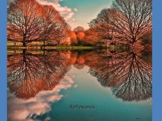 Reflexiones

 