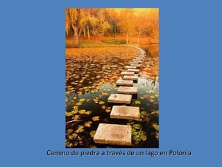 Camino de piedra a través de un lago en Polonia

 