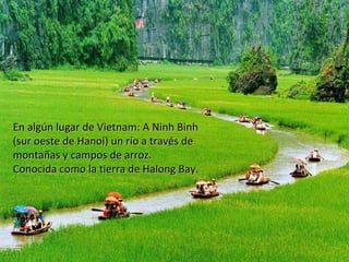 En algún lugar de Vietnam: A Ninh Binh
(sur oeste de Hanoi) un río a través de
montañas y campos de arroz.
Conocida como la tierra de Halong Bay.

 