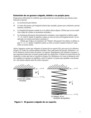Extensión de un gusano colgado, debido a su propio peso
Empezamos definiendo los símbolos que representan las características que afectan cómo
funciona el gusano.
g La aceleración gravitatoria.
M La masa del gusano, por longitud unitaria (por ejemplo, gramos por centímetro, presun-
tamente constante).
Ltr La longitud del gusano cuando no se lo aplica fuerza alguna. (Nótate que en esa condi-
ción, todas las vueltas se encuentran trincadas.)
E La resistencia del gusano (presuntamente constante), cuya magnitud se define según
( llEF ∆×= ), donde ∆l significa cuánto se estira un trozo de longitud inicial l, al ser
aplicado a la misma una fuerza constante F.
¡Nótate que E no es el constante k de “Hooke” del gusano! Ese último se define se-
gún δ×= kF , donde δ significa cuánto se estira el resorte cuando la fuerza F actúa
sobre el resorte entero.
Ahora, hagamos cuenta que colgamos el gusano de un soporte fijo, pero que no lo saltamos.
(Figura 1a) Todas las vueltas quedan trincados. Para cada punto del gusano, definimos x co-
mo la distancia vertical entre ese punto y el soporte. Supongamos que soltamos el gusano, y
que esperamos hasta que se hayan cesado todas las vibraciones. Cuando el resorte está en esa
condición, se dice que está en equilibrio (Figura 1b). Definimos z(x) como la distancia verti-
cal, medida en el gusano en equilibrio, entre el soporte y el punto que quedaba a una distan-
cia x del mismo soporte antes de soltar el gusano.
x = 0
a) Con las vueltas
trincadas.
x = Ltr
x+
z = 0
z+
b) Soltado, en su
condición de equilibrio.
z = Ls
Figura 1. El gusano colgado de un soporte.
3
 