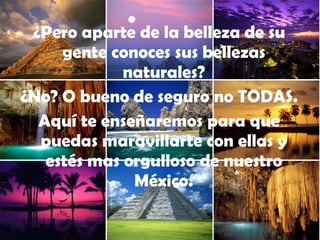 ¿Pero aparte de la belleza de su gente conoces sus bellezas naturales? ¿No? O bueno de seguro no TODAS.  Aquí te enseñaremos para que puedas maravillarte con ellas y estés mas orgulloso de nuestro México. 