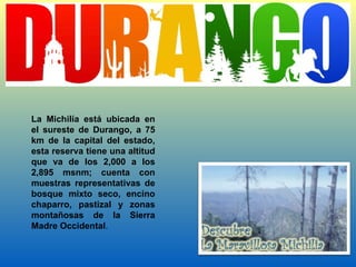 La Michilía está ubicada en el sureste de Durango, a 75 km de la capital del estado, esta reserva tiene una altitud que va de los 2,000 a los 2,895 msnm; cuenta con muestras representativas de bosque mixto seco, encino chaparro, pastizal y zonas montañosas de la Sierra Madre Occidental .  