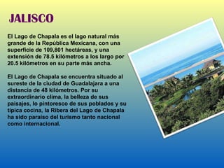 JALISCO El Lago de Chapala es el lago natural más grande de la República Mexicana, con una superficie de 109,801 hectáreas, y una extensión de 78.5 kilómetros a los largo por 20.5 kilómetros en su parte más ancha.  El Lago de Chapala se encuentra situado al sureste de la ciudad de Guadalajara a una distancia de 48 kilómetros. Por su extraordinario clima, la belleza de sus paisajes, lo pintoresco de sus poblados y su típica cocina, la Ribera del Lago de Chapala ha sido paraíso del turismo tanto nacional como internacional. 