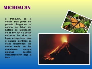 MICHOACAN el Paricutín, es el volcán más joven del planeta. Surgió en un campo de labor del Estado de Michoacán en el año 1943 y desde entonces ha sido un lugar excepcional para el estudio científico de estos fenómenos. No murió nadie en las erupciones, aunque algunos pueblos desaparecieron bajo la lava. 