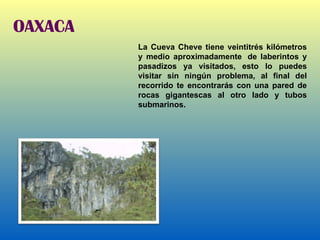 OAXACA La Cueva Cheve tiene veintitrés kilómetros y medio aproximadamente  de laberintos y pasadizos ya visitados, esto lo puedes visitar sin ningún problema, al final del recorrido te encontrarás con una pared de rocas gigantescas al otro lado y tubos submarinos. 