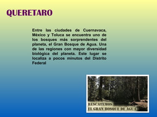QUERETARO Entre las ciudades de Cuernavaca, México y Toluca se encuentra uno de los bosques más sorprendentes del planeta, el Gran Bosque de Agua. Una de las regiones con mayor diversidad biológica del planeta. Este lugar se localiza a pocos minutos del Distrito Federal 