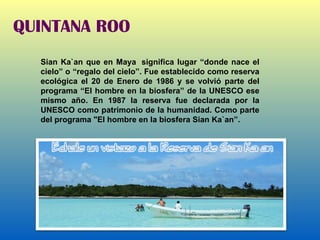 QUINTANA ROO Sian Ka`an que en Maya  significa lugar “donde nace el cielo” o “regalo del cielo”. Fue establecido como reserva ecológica el 20 de Enero de 1986 y se volvió parte del programa “El hombre en la biosfera” de la UNESCO ese mismo año. En 1987 la reserva fue declarada por la UNESCO como patrimonio de la humanidad. Como parte del programa "El hombre en la biosfera Sian Ka`an”. 
