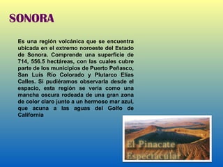 SONORA Es una región volcánica que se encuentra ubicada en el extremo noroeste del Estado de Sonora. Comprende una superficie de 714, 556.5 hectáreas, con las cuales cubre parte de los municipios de Puerto Peñasco, San Luís Río Colorado y Plutarco Elías Calles. Si pudiéramos observarla desde el espacio, esta región se vería como una mancha oscura rodeada de una gran zona de color claro junto a un hermoso mar azul, que acuna a las aguas del Golfo de California 