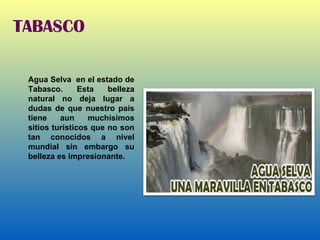 TABASCO Agua Selva  en el estado de Tabasco. Esta belleza natural no deja lugar a dudas de que nuestro país tiene aun muchísimos sitios turísticos que no son tan conocidos a nivel mundial sin embargo su belleza es impresionante. 