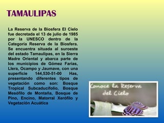 TAMAULIPAS La Reserva de la Biosfera El Cielo fue decretada el 13 de julio de 1985 por la UNESCO dentro de la Categoría Reserva de la Biosfera. Se encuentra situada al suroeste del estado Tamaulipas, en la Sierra Madre Oriental y abarca parte de los municipios de Gómez Farías, Llera, Ocampo y Jaumave, con una superficie 144,530-51-00 Has, presentando diferentes tipos de vegetación como son: Bosque Tropical Subcaducifolio, Bosque Mesófilo de Montaña, Bosque de Pino, Encino, Matorral Xerófilo y Vegetación Acuática 