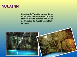 Cenotes de Yucatán es uno de los municipios del estado de Yucatán, México. Puede obtener una visión de Cenotes de Yucatán, satelital y en mapa YUCATAN 