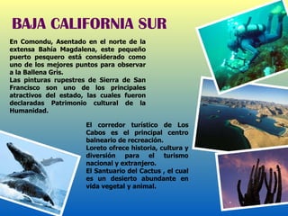 En Comondu, Asentado en el norte de la extensa Bahía Magdalena, este pequeño puerto pesquero está considerado como uno de los mejores puntos para observar a la Ballena Gris.  Las pinturas rupestres de Sierra de San Francisco son uno de los principales atractivos del estado, las cuales fueron declaradas Patrimonio cultural de la Humanidad. El corredor turístico de Los Cabos es el principal centro balneario de recreación. Loreto ofrece historia, cultura y diversión para el turismo nacional y extranjero. El Santuario del Cactus , el cual es un desierto abundante en vida vegetal y animal. BAJA CALIFORNIA SUR 