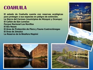 El estado de Coahuila cuenta con reservas ecológicas para proteger a sus especies en peligro de extinción. La Sierra del Carmen (municipios de Múzquiz y Ocampo)  El Cañón de San Lorenzo  Parque Nacional Los Novillos  El Río Nazas  El Área de Protección de Flora y Fauna Cuatrociénegas  El Área de Jimulco  La Reserva de la Biosfera Mapimí  COAHUILA 