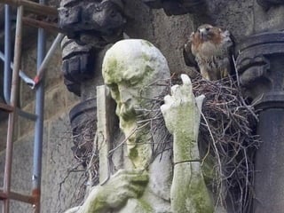 Bellezayrealidad. .1