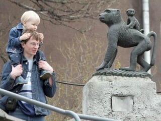 Bellezayrealidad. .1