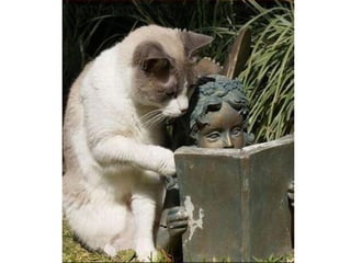 Bellezayrealidad. .1