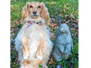 Bellezayrealidad. .1