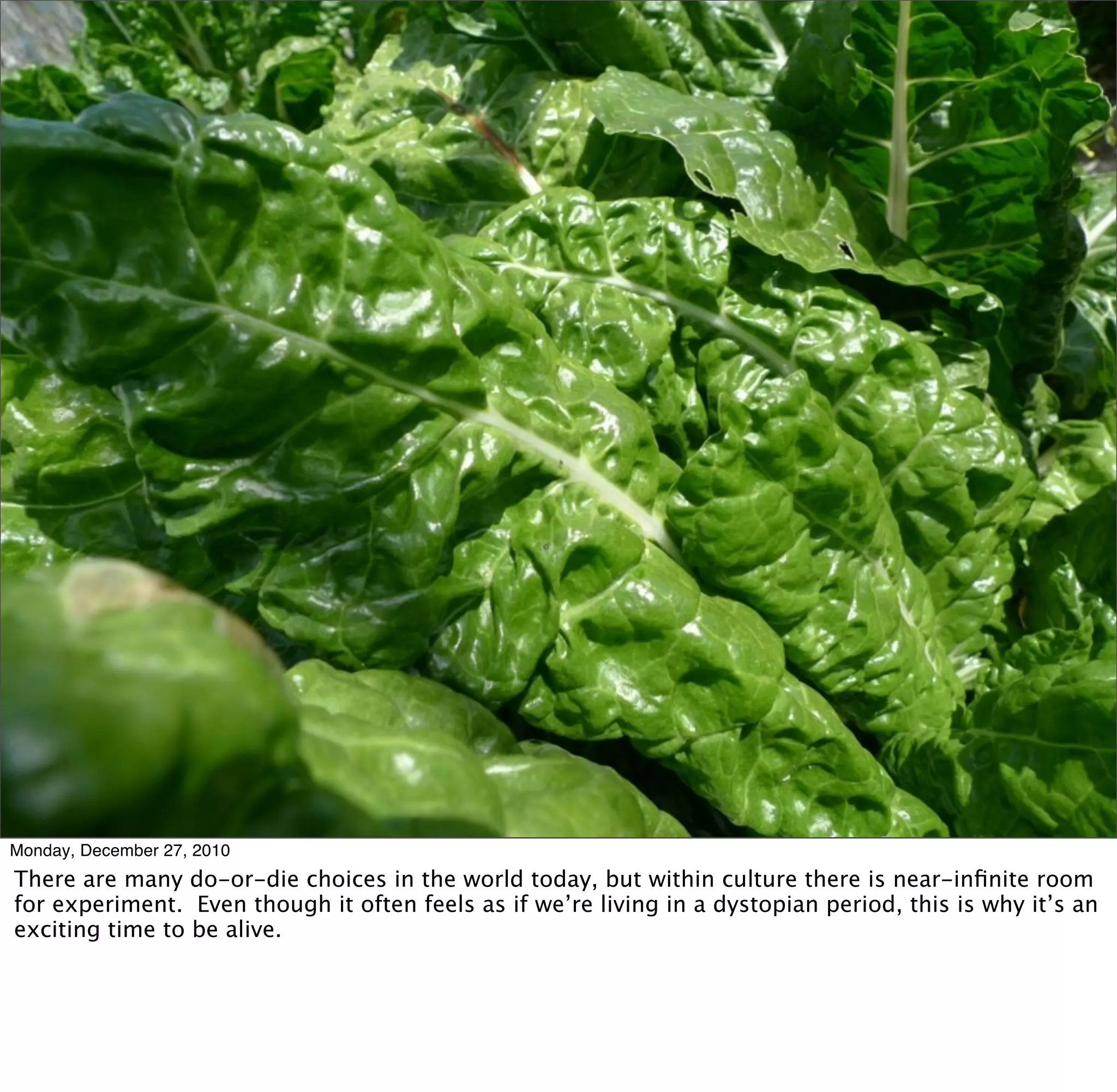 Monday, December 27, 2010
There are many do-or-die choices in the world today, but within culture there is near-inﬁnite room
for experiment. Even though it often feels as if we’re living in a dystopian period, this is why it’s an
exciting time to be alive.
 