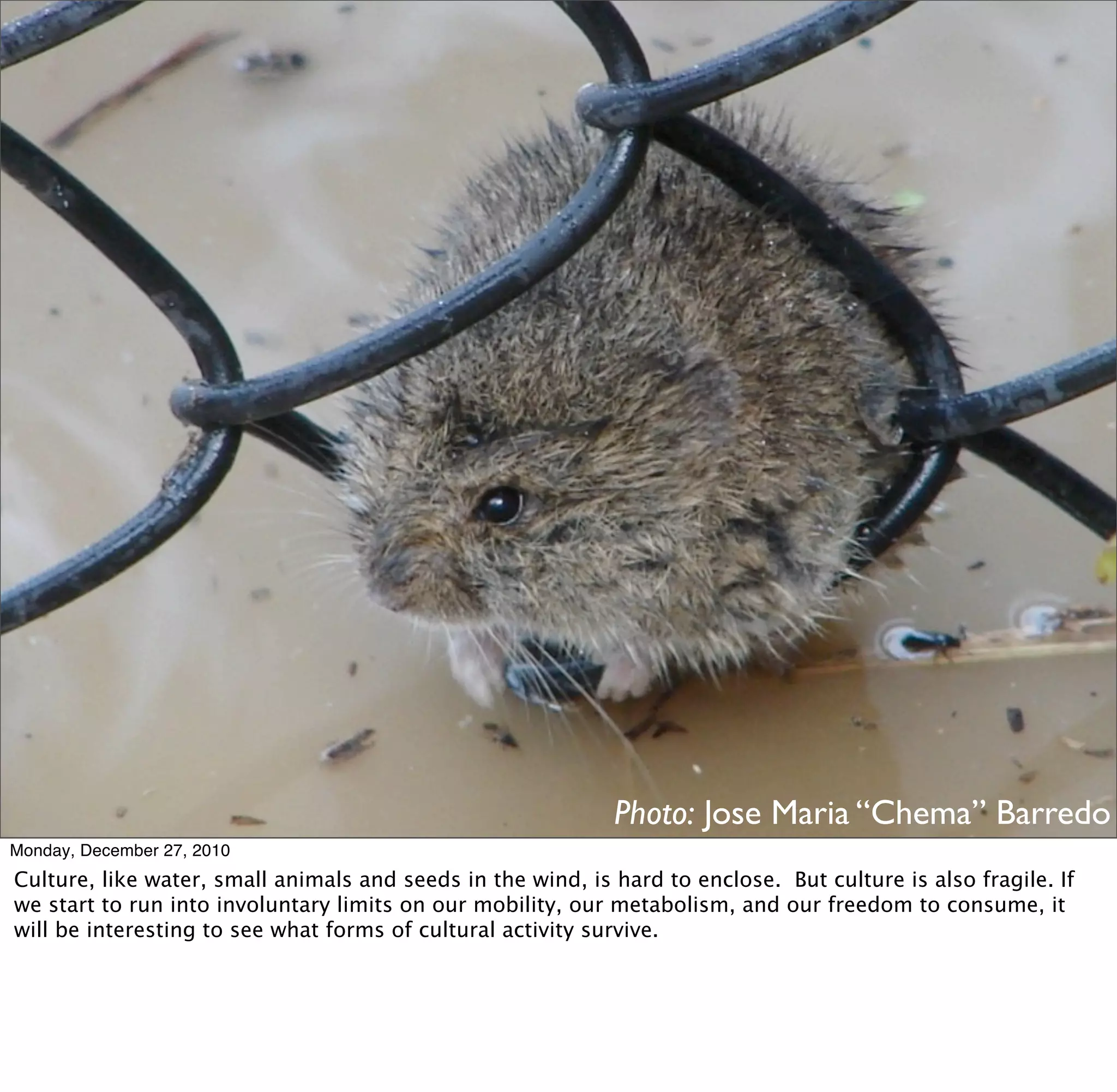 Photo: Jose Maria “Chema” Barredo
Monday, December 27, 2010
Culture, like water, small animals and seeds in the wind, is hard to enclose. But culture is also fragile. If
we start to run into involuntary limits on our mobility, our metabolism, and our freedom to consume, it
will be interesting to see what forms of cultural activity survive.
 