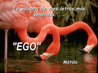 La palabra de tres letras más venenosa..... "EGO" Mátalo