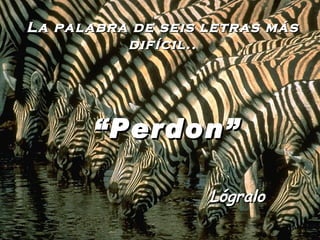La palabra de seis letras más difícil.. “ Perdon” Lógralo