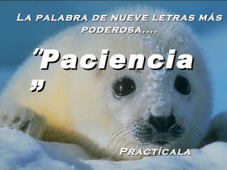 La palabra de nueve letras más poderosa.... ” Paciencia” Practícala