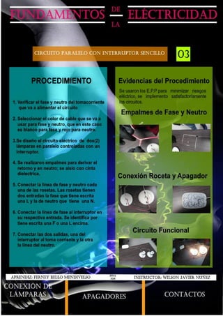 Bello ferney informe