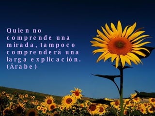 Quien no comprende una mirada, tampoco comprenderá una larga explicación. (Árabe) 