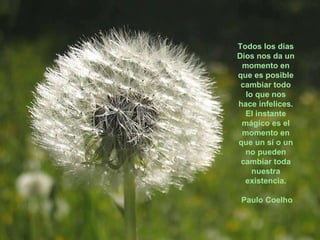 Todos los días Dios nos da un momento en que es posible cambiar todo lo que nos hace infelices. El instante mágico es el momento en que un sí o un no pueden cambiar toda nuestra existencia. Paulo Coelho 