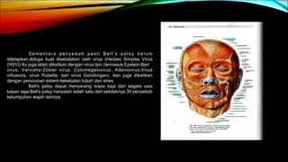 Sementara penyebab pasti Bell's palsy belum
ditetapkan,diduga kuat disebabkan oleh virus (Herpes Simplex Virus
(HSV)).Itu juga telah dikaitkan dengan virus lain (termasuk Epstein-Barr
virus, Varicella-Zoster virus, Cytomegalovirus, Adenovirus,Virus
influenza, virus Rubella, dan virus Gondongan), dan juga dikaitkan
dengan penurunan sistem kekebalan tubuh dan stres.
Bell's palsy dapat menyerang siapa saja dari segala usia
kapan saja.Bell's palsy hanyalah salah satu dari setidaknya 30 penyebab
kelumpuhan wajah lainnya.
 