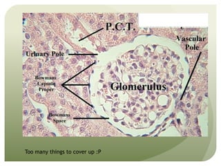 Too many things to cover up :P