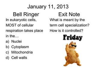Bell ringers | PPT