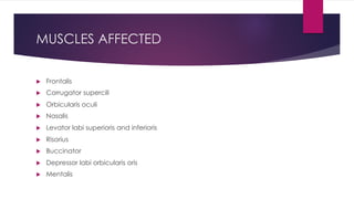 MUSCLES AFFECTED
u Frontalis
u Corrugator supercili
u Orbicularis oculi
u Nasalis
u Levator labi superioris and inferioris
u Risorius
u Buccinator
u Depressor labi orbicularis oris
u Mentalis
 