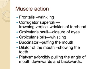 Muscle actionFrontalis –wrinklingCorrugatorsupercili — frowning,vertical wrinkles of foreheadOrbicularisoculi—closure of eyesOrbicularisoris—whistlingBuccinator –puffing the mouthDilator of the mouth –showing the teethPlatysma-forcibly pulling the angle of mouth downwards and backwards.