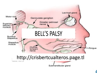 Bell’s Palsy
http://crisbertcualteros.page.tl
http://crisbertcualteros.page.tl
 