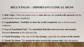 Comprehensive Overview of Bell’s Palsy: Causes, Symptoms, and ...