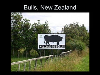 Bulls, New Zealand
 