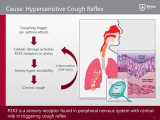 Cause: Hypersensitive Cough Reflex
Coughing trigger
(ex. asthma attack)
Cellular damage activates
P2X3 receptors in airway
Airway hyper-excitability
Chronic cough
Inflammation
/Cell injury
P2X3 is a sensory receptor found in peripheral nervous system with central
role in triggering cough reflex 6
ATPand
Cytokines
Primaryafferent
(A𝛿 or C-fiber)
ATP
ATP
Receptors
P2X3
P2X3-containing
Primaryafferent
Modified from Purinergic Signaling (2012) 8 (Suppl 1)
 
