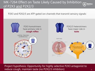 MK-7264 Effect on Taste Likely Caused by Inhibition
of P2X3 and P2X2/3
Project hypothesis: Opportunity for highly selective P2X3 antagonist to
reduce cough, maintain taste (no P2X2/3 inhibition) 8
P2X2/3 heterotrimers
have major role in
taste
P2X3 homotrimers
have primary role in
cough reflex
P2X3 and P2X2/3 are ATP-gated ion channels that transmit sensory signals:
P2X3
P2X2/3
 