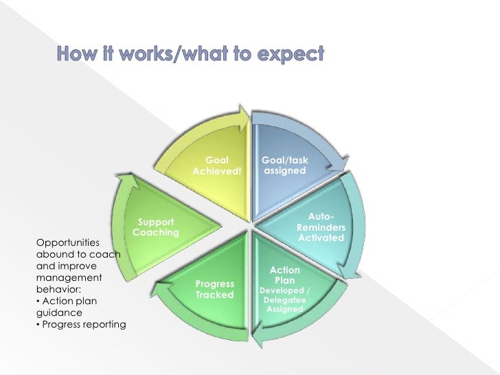 Joint Commission Action Plan Template