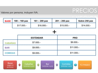 Belly Beach propuesta 2016
