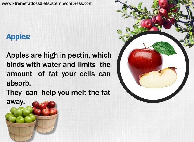 Belly Fat Burning Foods Indian Belly Fat Burning Foods Indian