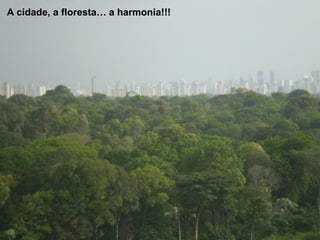 A cidade, a floresta… a harmonia!!!A cidade, a floresta… a harmonia!!!
 