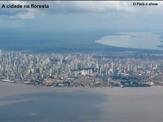 O Pará é show
A cidade na florestaA cidade na floresta
 
